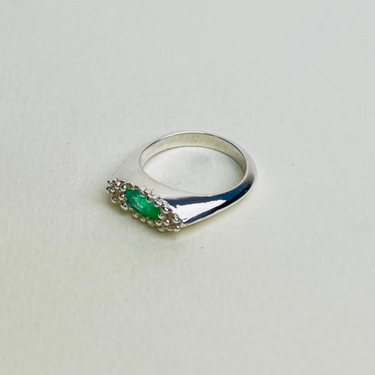 Anillo Arrecife